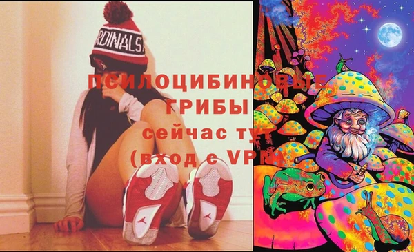 мет Новозыбков