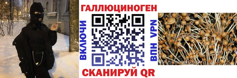 закладка  Людиново  Галлюциногенные грибы мухоморы 